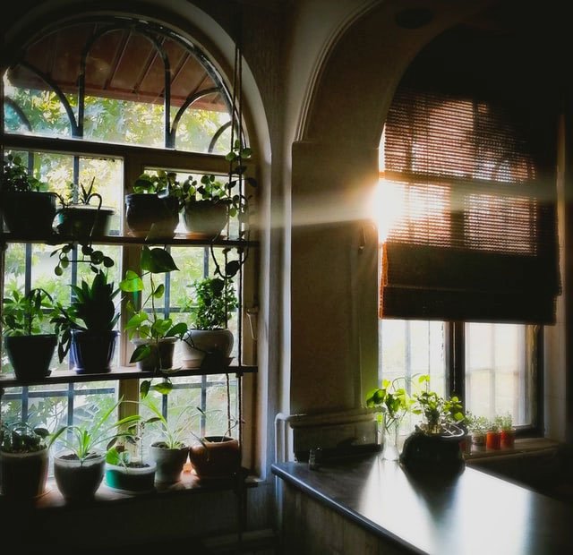 Gartentrends 2020 | Konstruktiva Magazin